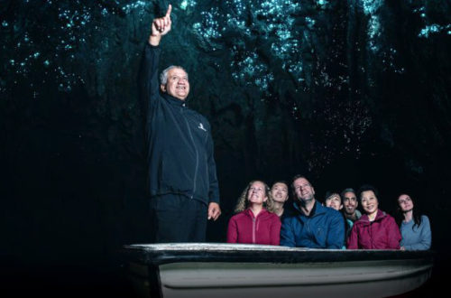 Waitomo Cave boat ride