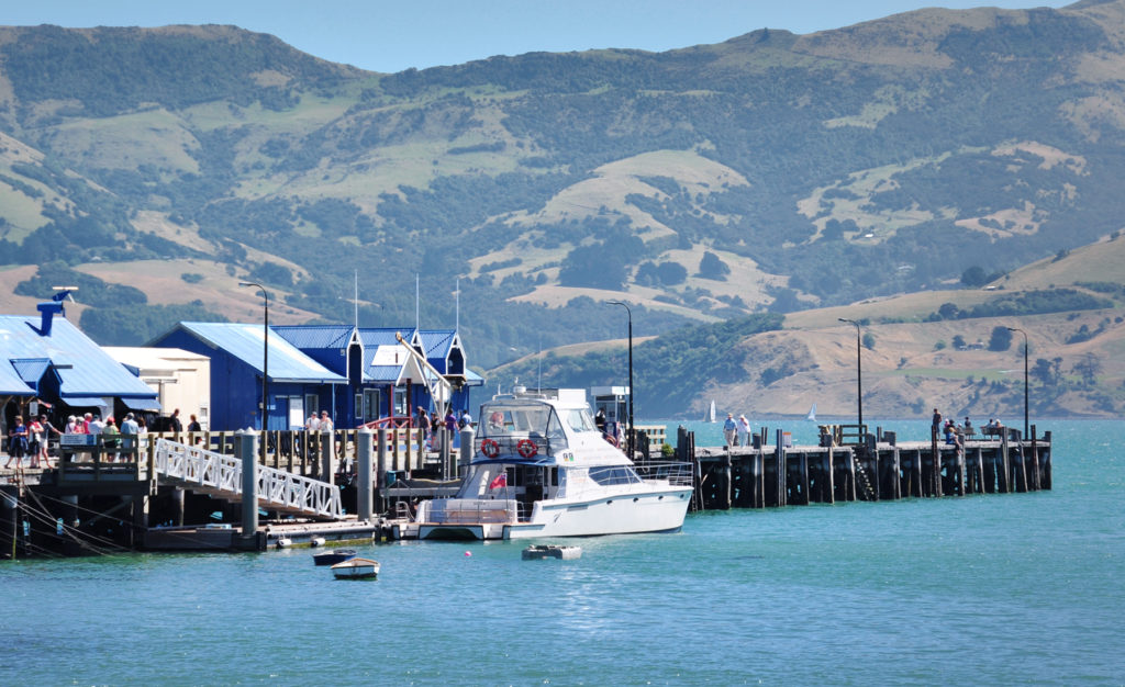 Christchurch Akaroa wharf 紐西蘭基督城外圍小城鎮阿卡羅阿碼頭有出名的 Fish & Chips 