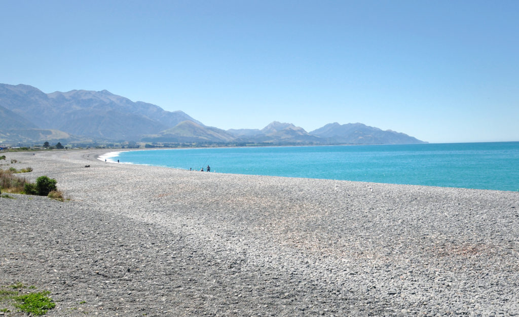 Christchurch Kaikoura 紐西蘭基督城外圍城鎮凱庫拉海灘 