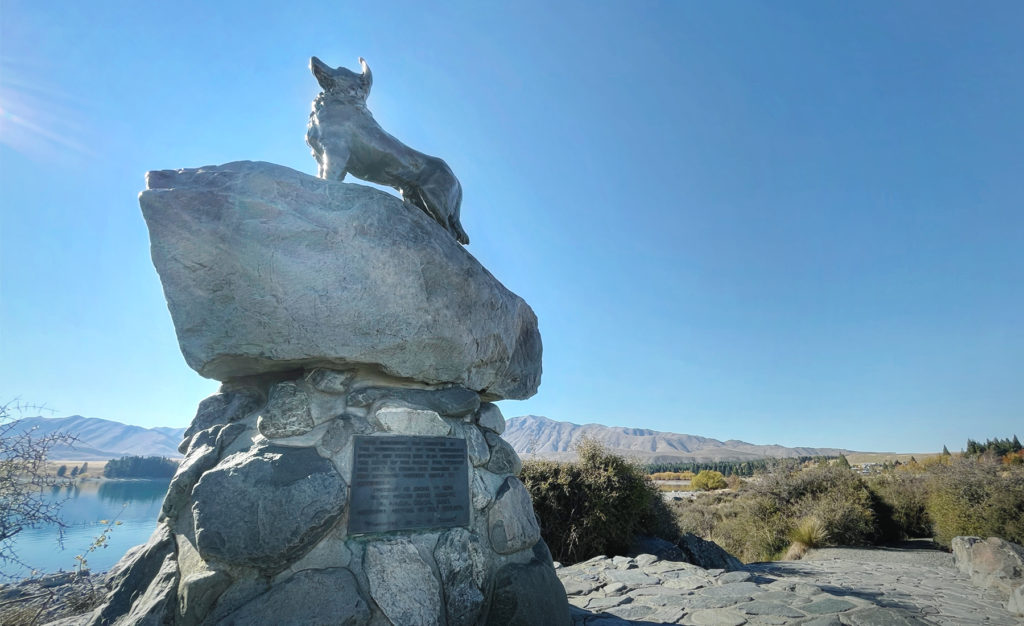 Tekapo The Church of the Good Shepherd Collie Sheep Dog Statue 蒂卡波好牧羊人教堂牧羊犬雕像