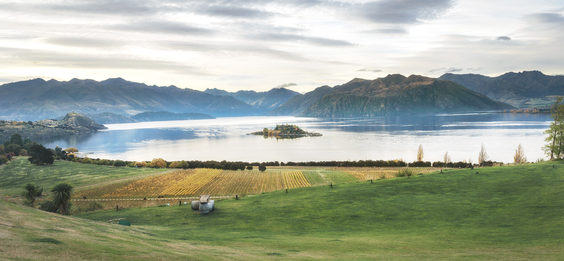 紐西蘭南島遊第五站 – Wanaka（瓦納卡）Rippon 酒莊