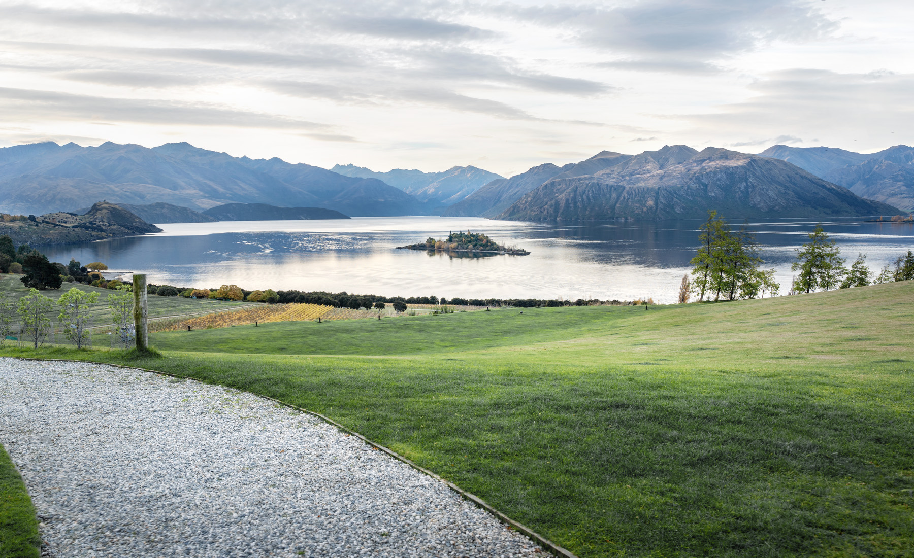 紐西蘭南島遊第五站 – Wanaka（瓦納卡）Rippon 酒莊