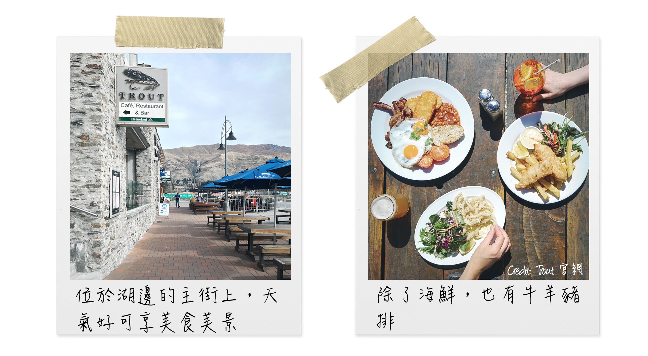 紐西蘭南島遊第五站 – Wanaka（瓦納卡）Trout Cafe Restaurant Bar 海鮮西式餐廳