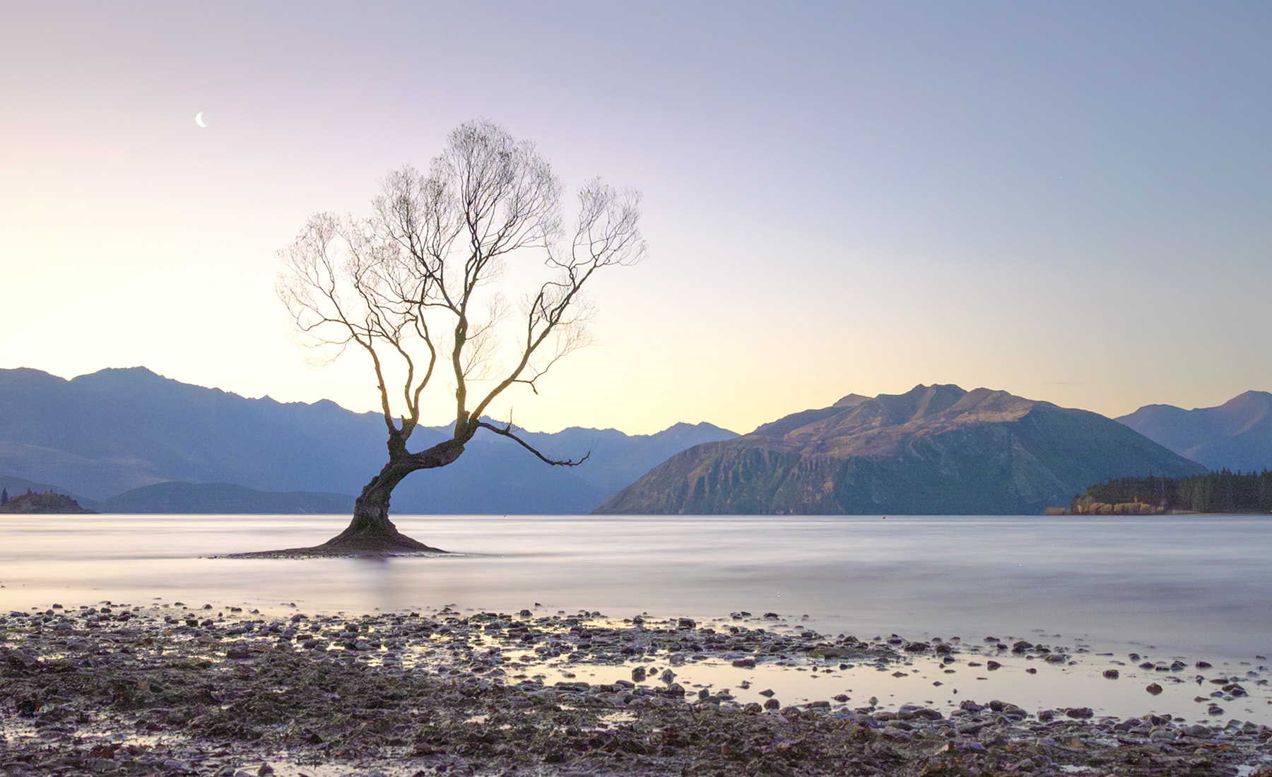 紐西蘭南島遊第五站 – Wanaka（瓦納卡）孤獨樹（the Lone Tree of Wanaka）